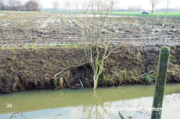 zelfs 200mtr verderop liggen er takken in een sloot